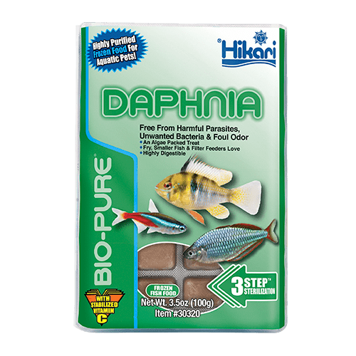 daphnia